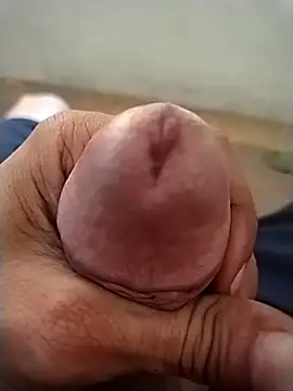 GDwrzsc2bfc online show from December 4, 2025, 9:41 am