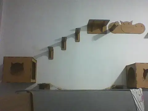 Temp7 online show from February 23, 2026, 1:29 am