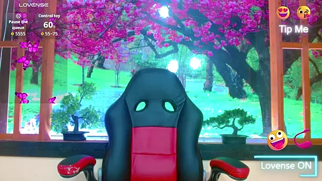 britanny noroeste online show from January 10, 2026, 3:24 am