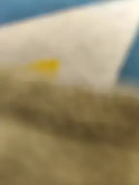 Snapshot of paro22_sex chatting on February 14, 2026, 5:13 pm paro22 sex online show from February 14, 2026, 5:13 pm