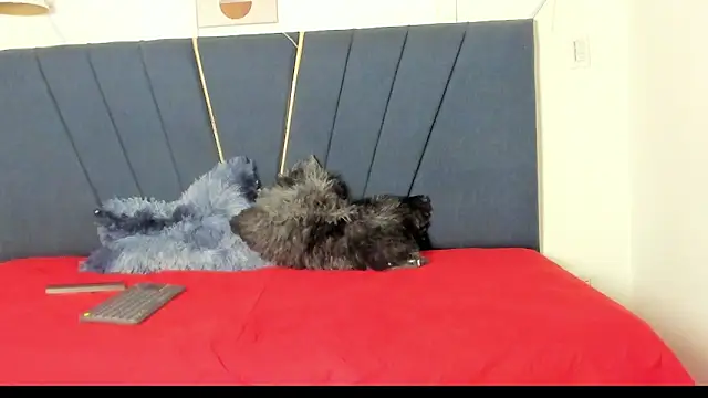 Snapshot of naomi_x0 chatting on January 18, 2026, 1:14 pm naomi x0 online show from January 18, 2026, 1:14 pm