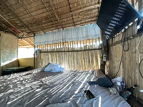 Juliet official pro online show from April 3, 2026, 11:44 pm