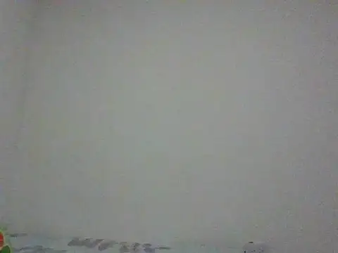 monojerez online show from January 13, 2026, 12:20 pm