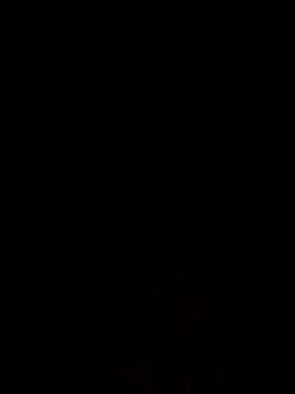 gdjejwikfk online show from November 29, 2025, 6:35 am