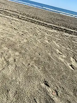 ratemydickbabe online show from December 1, 2025, 9:32 am