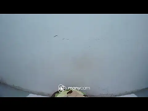 hottiemama69 online show from April 15, 2026, 9:48 pm