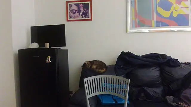 AMIRDIB2025 online show from April 18, 2026, 12:24 am