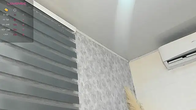 Brizza H033 online show from February 11, 2026, 10:31 pm