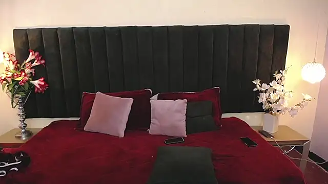 Snapshot of alyson_ethan chatting on February 26, 2026, 7:47 pm alyson ethan online show from February 26, 2026, 7:47 pm