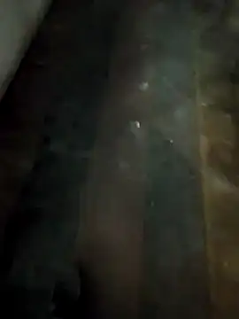 sexymssorder online show from April 9, 2026, 1:17 pm