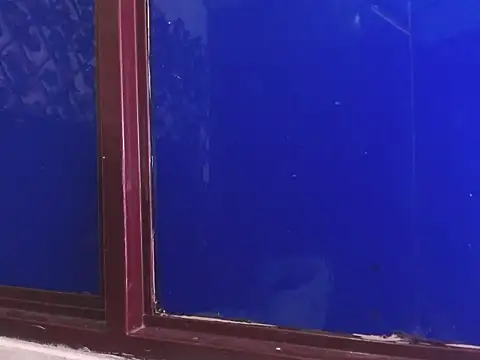 vrositaper online show from December 1, 2025, 9:15 pm