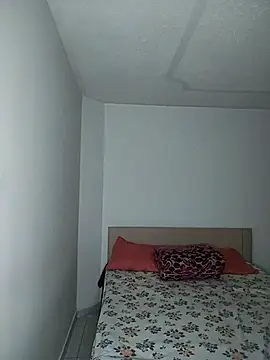 pamela 08 online show from January 11, 2026, 1:12 am