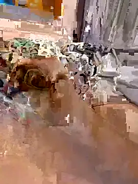 Snapshot of en93000 chatting on April 7, 2026, 5:42 am en93000 online show from April 7, 2026, 5:42 am