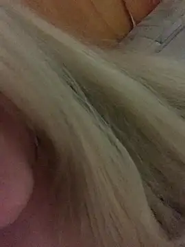 ninfetinhagata online show from December 5, 2025, 1:49 am