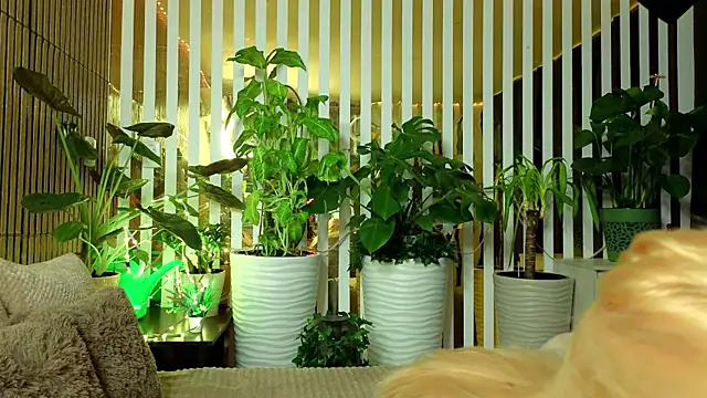 FlowweerGirl online show from December 15, 2025, 9:42 pm