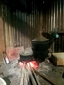 sary-hot2x online show from January 8, 2026, 11:55 pm