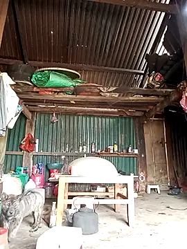 sary-hot2x online show from March 26, 2026, 5:17 am