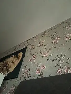 Alexmarcov online show from April 19, 2026, 4:52 pm