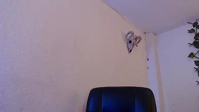 kingdani hot online show from December 20, 2025, 3:20 am