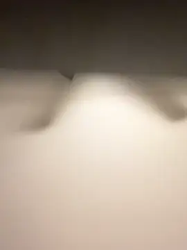 Lassie Cassie online show from February 3, 2026, 5:05 am