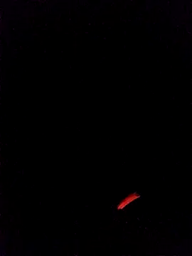 leobct555 online show from March 22, 2026, 3:10 am