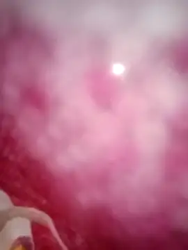 kusbu0077 online show from February 19, 2026, 8:00 am