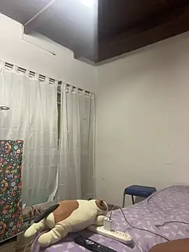 morochaailu online show from January 14, 2026, 10:52 am