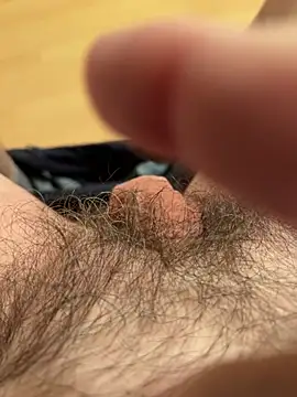 csikar online show from February 25, 2026, 6:08 pm