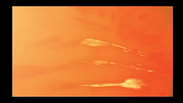 vickvalencia2 online show from February 13, 2026, 1:44 pm