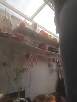 Almeyjose online show from December 15, 2025, 5:52 pm