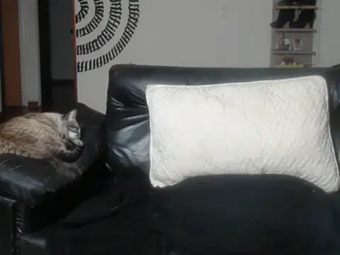 BeautyYoungblond online show from March 14, 2026, 2:39 am