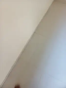 punecouplegroup online show from April 15, 2026, 3:12 am