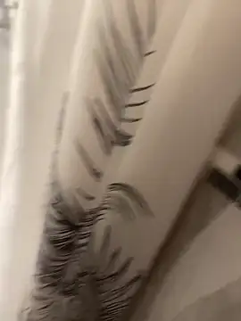 Miguel 667 online show from April 15, 2026, 8:20 am