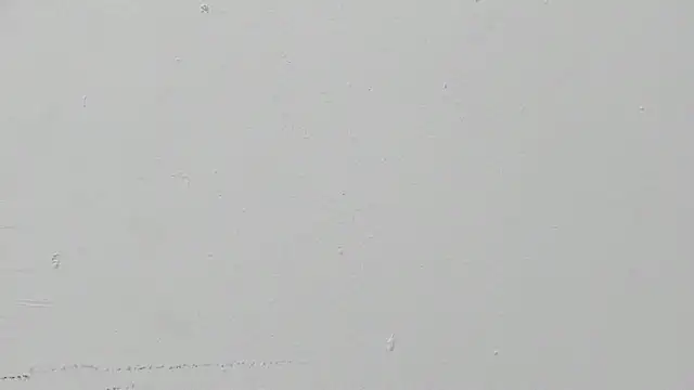 ariloe quintero online show from April 14, 2026, 1:05 pm