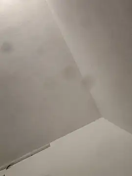 rahul8827 online show from February 8, 2026, 11:30 am