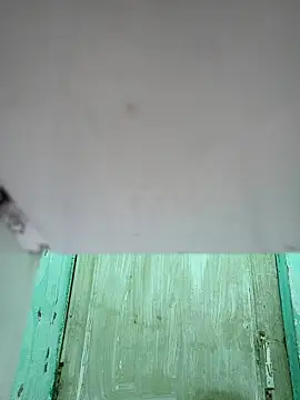 Snapshot of novio-de-la-tarde chatting on February 12, 2026, 11:37 pm novio-de-la-tarde online show from February 12, 2026, 11:37 pm