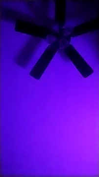 Cantgetenough0069 online show from May 17, 2026, 7:41 am
