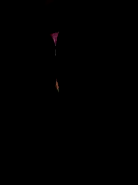 Horny  daddy0 online show from December 21, 2025, 9:55 am