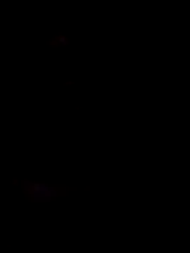 honorhorny online show from February 5, 2026, 11:00 pm