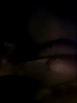 angelm123456 online show from April 21, 2026, 6:53 am