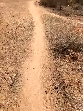 Snapshot of Tamilpaiyan07 chatting on February 8, 2026, 5:49 am Tamilpaiyan07 online show from February 8, 2026, 5:49 am