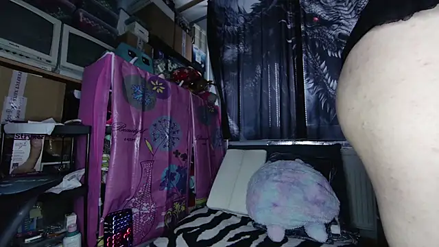 xNiceTitsx online show from November 23, 2025, 7:29 am