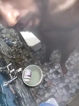 hydhunk26 online show from February 17, 2026, 6:44 am