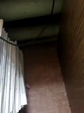 Tata and Joker online show from April 10, 2026, 12:34 pm