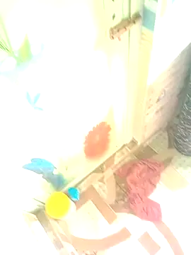 Hooghlypinkivabi online show from January 10, 2026, 7:36 am