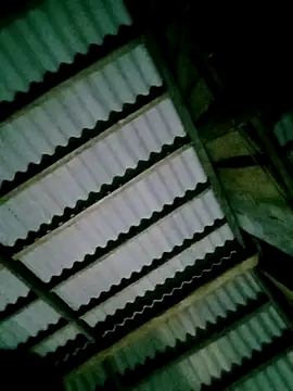 DIANAKUTE online show from April 7, 2026, 10:33 pm