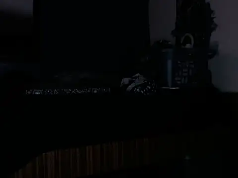 Snapshot of Bongjangles chatting on February 4, 2026, 10:21 am Bongjangles online show from February 4, 2026, 10:21 am