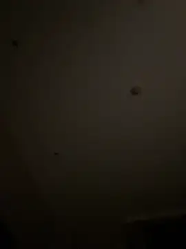 Qidandan778 online show from March 9, 2026, 12:09 pm