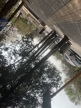 Qidandan778 online show from April 12, 2026, 2:37 am