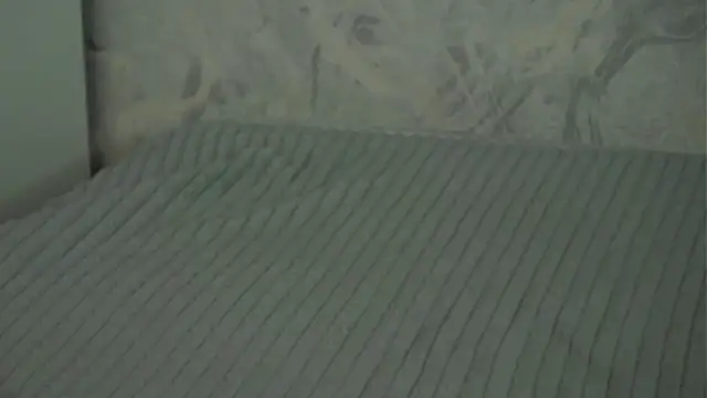 hexiir online show from April 10, 2026, 6:31 am